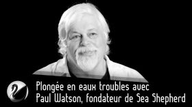 Paul Watson, fondateur de Sea Shepherd : Plongée en eaux troubles by Thinkerview
